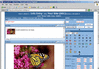 info_entry.gif